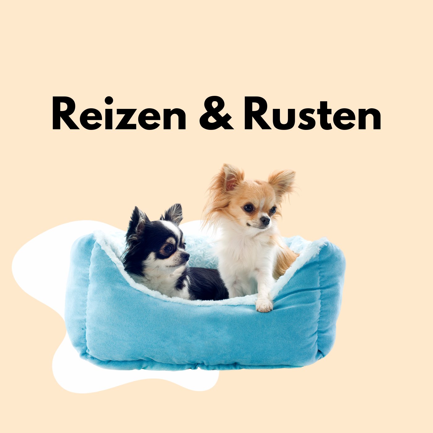 Kooien en matten