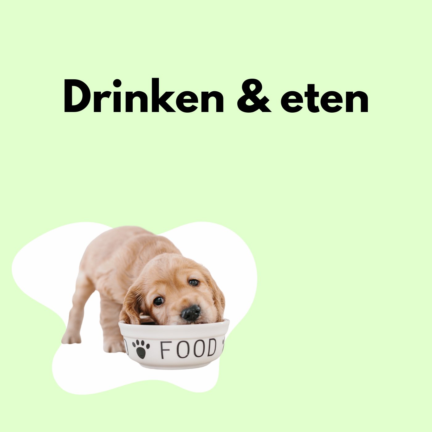 Drink- en eetbakjes